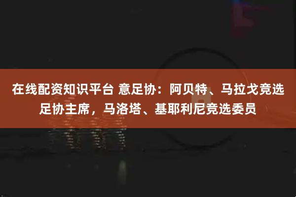 在线配资知识平台 意足协：阿贝特、马拉戈竞选足协主席，马洛塔、基耶利尼竞选委员